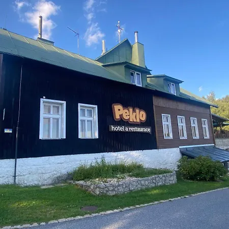 Peklo Pro Rodiny S Detmi 酒店 *
